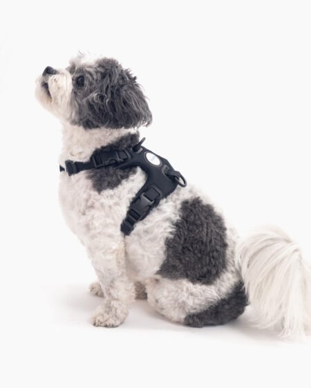 Signature Harness