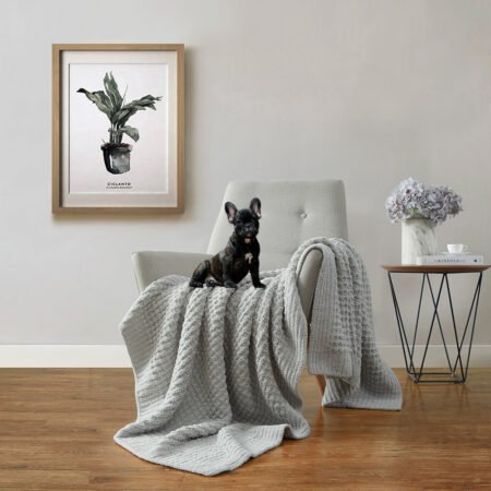 Sunday Citizen Waffle Lightweight Throw