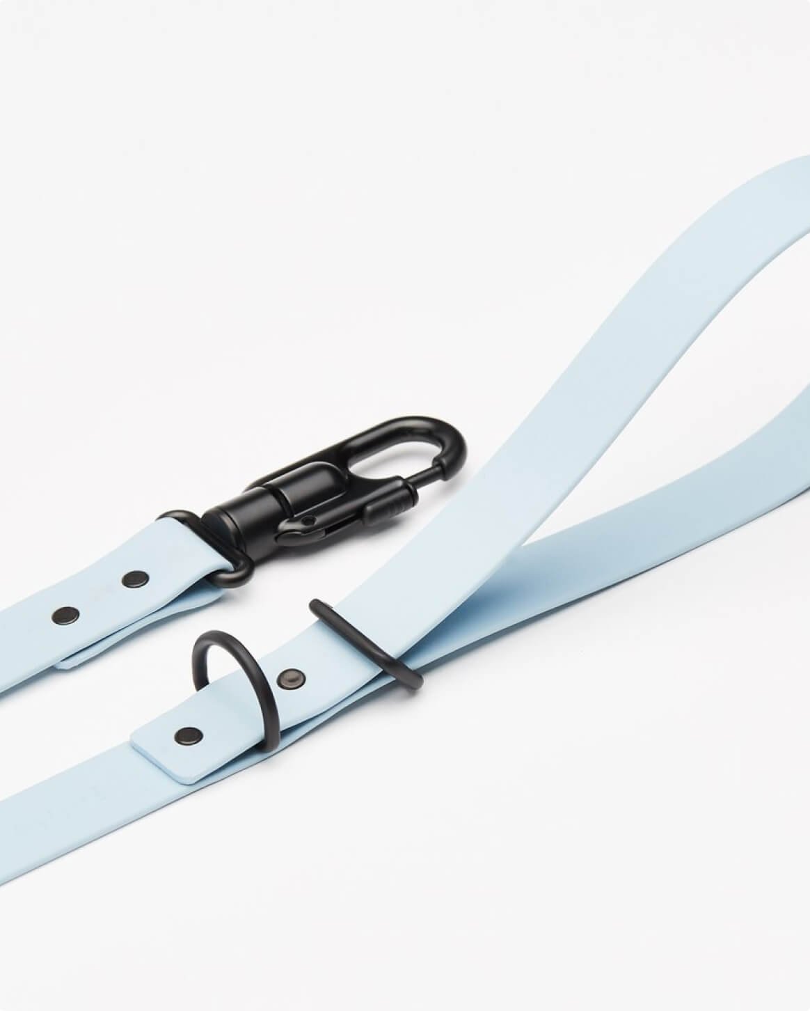 leash-blue-3.jpg