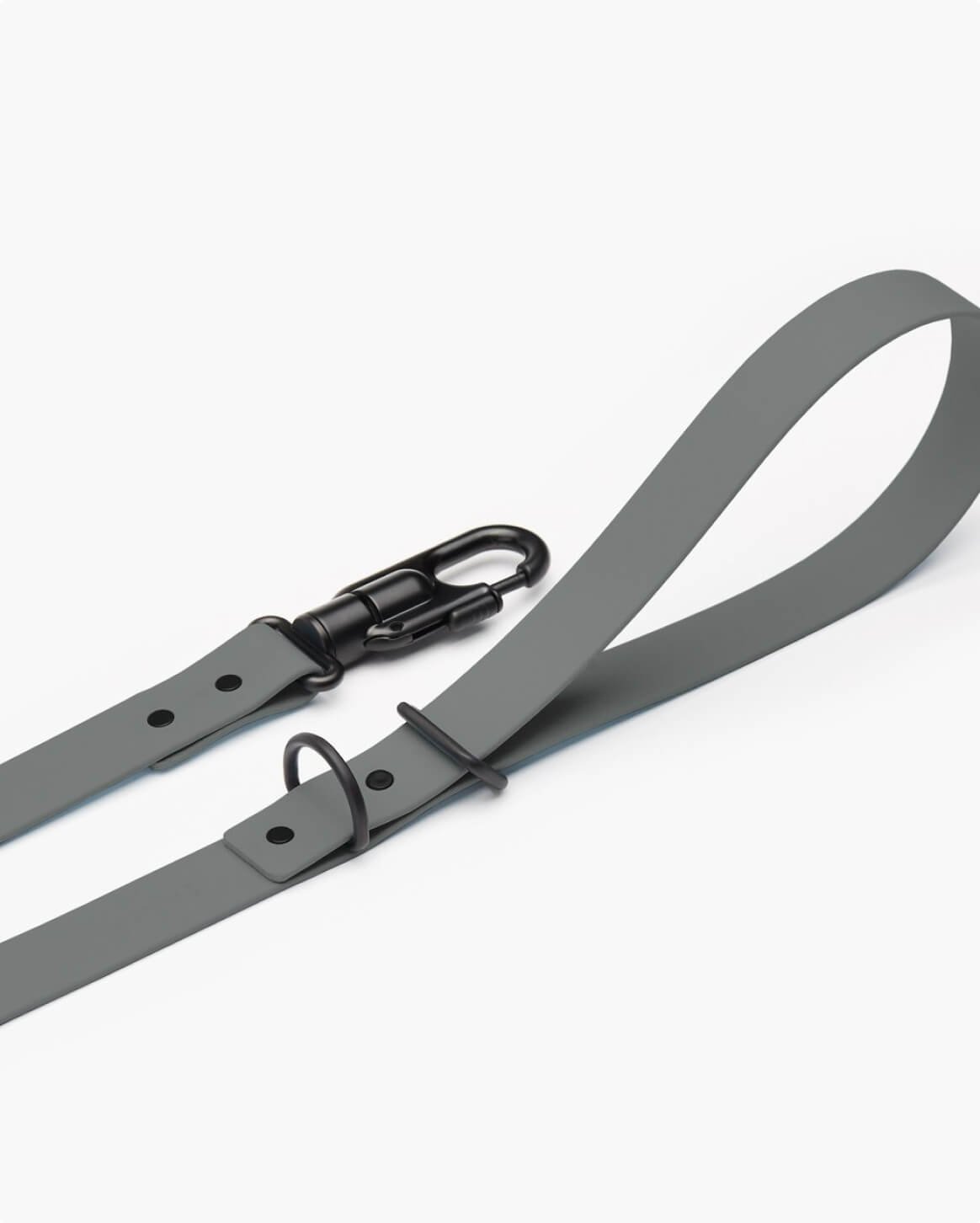 leash-gray-3.jpg