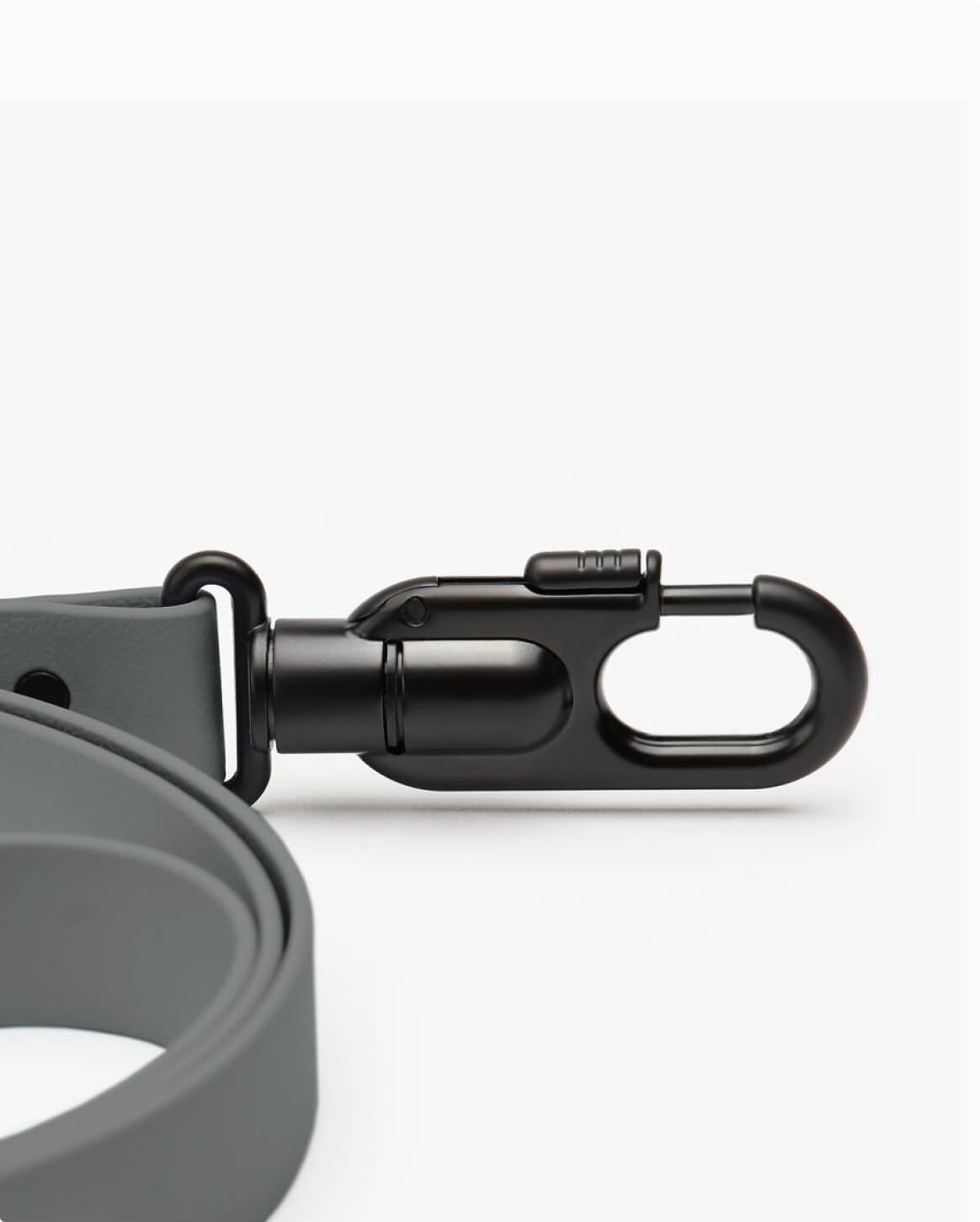leash-gray-4.jpg